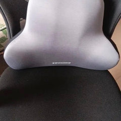 Photo d'un acheteur : coussin lombaire gris